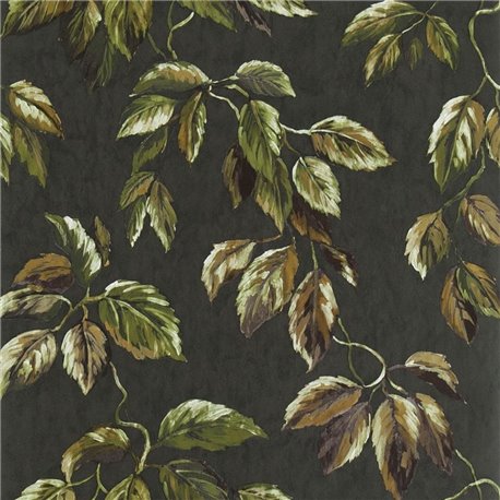Jangal Walnut PDG1127-05 Jangal Walnut PDG1127-05