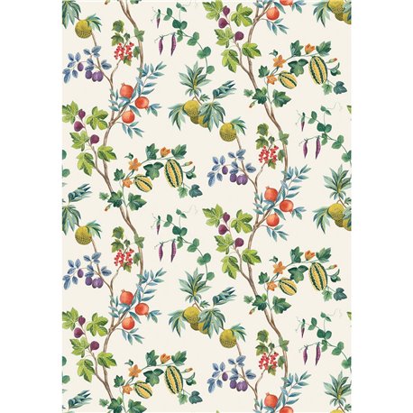 Orchard W7686-02 Orchard W7686-02