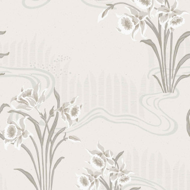 Candela Cisne A00231