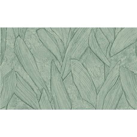 Piante Thyme 42523 Piante Thyme 42523