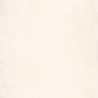 Patine Uni Beige Beige Clair Nacre 100221000