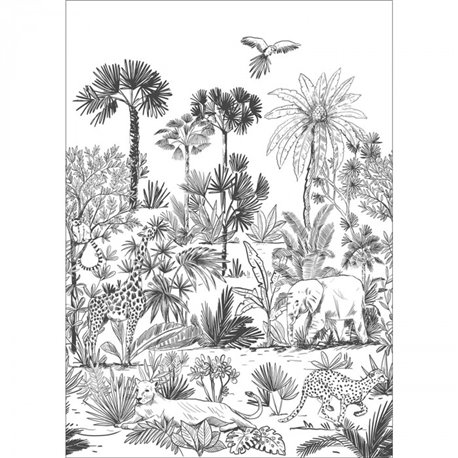 Decouvrir Noir Et Blanc 103599003 Decouvrir Noir Et Blanc 103599003