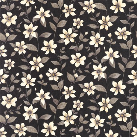 Clematites Noir Fusain 87649897 Clematites Noir Fusain 87649897