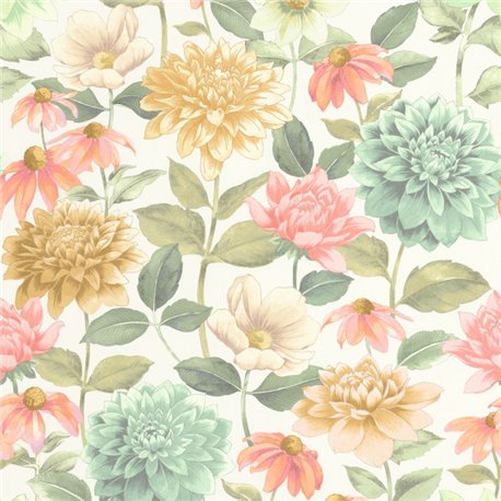 Dhalia Bouquet Fond Blanc 87660528 Dhalia Bouquet Fond Blanc 87660528
