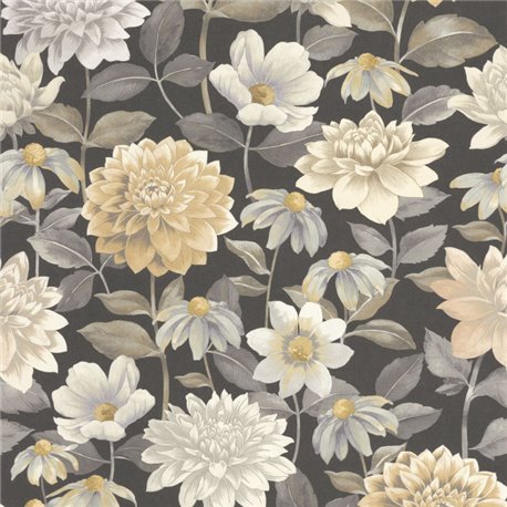Dhalia Noir Fusain 87669622 Dhalia Noir Fusain 87669622