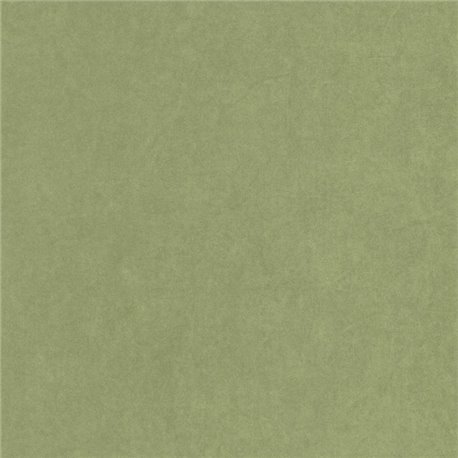 Florescence Suzhou Vert Cactus 82387512 Florescence Suzhou Vert Cactus 82387512