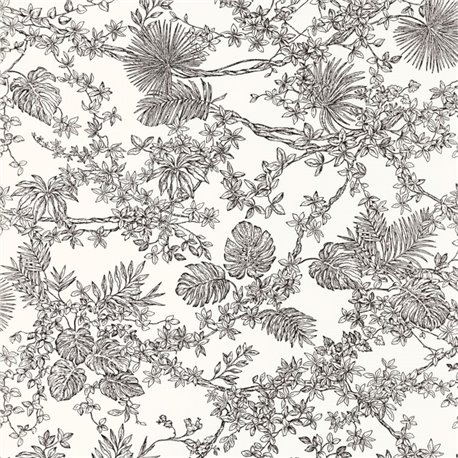 Jardin Des Plantes Noir Fusain 87959620 Jardin Des Plantes Noir Fusain 87959620