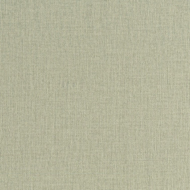 Canvas 24951