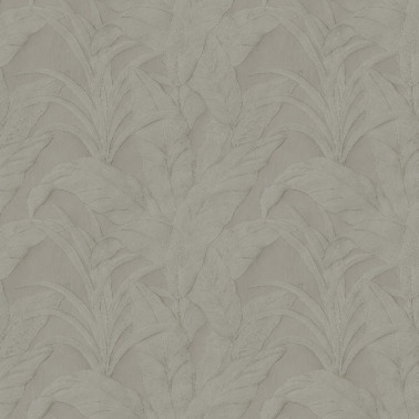 Musa Silver 75000B