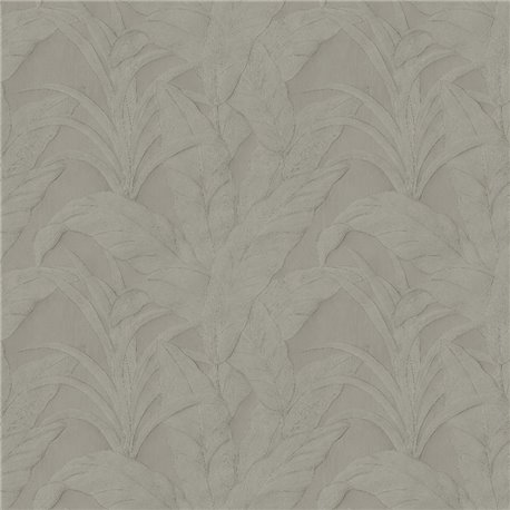 Musa Silver 75000B Musa Silver 75000B