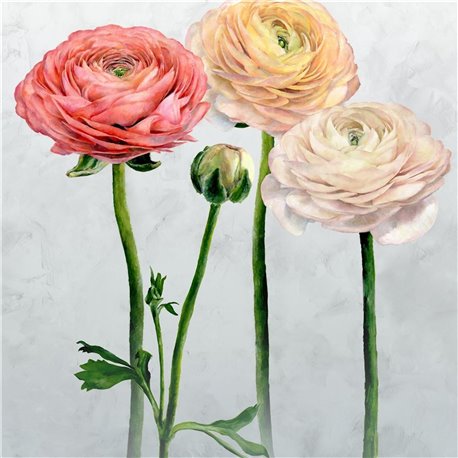 Tourangelle Scene 2 Peony PDG1100-01 Tourangelle Scene 2 Peony PDG1100-01