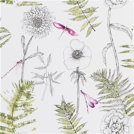 Acanthus Moss PDG1022-04 Acanthus Moss PDG1022-04
