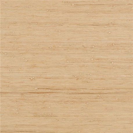 Solid Pink Apricot WK822-03 Solid Pink Apricot WK822-03