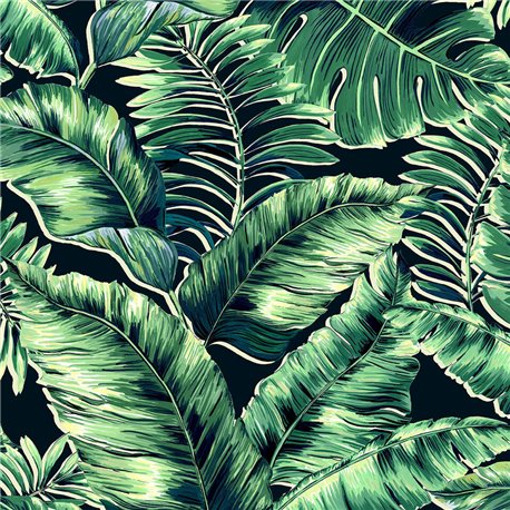 Banana Leaves BMTD001-06C Banana Leaves BMTD001-06C