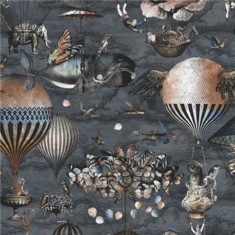 Curious Skies BMTD001-07B Curious Skies BMTD001-07B