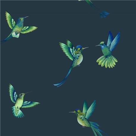 Exotic Birds BMTD001-08C Exotic Birds BMTD001-08C