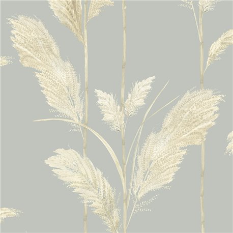 Pampas Grass BMTD001-10A Pampas Grass BMTD001-10A