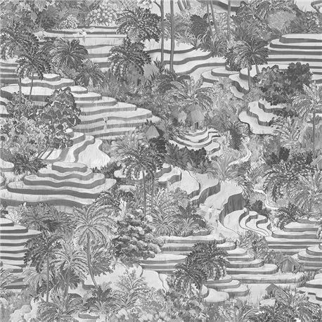 Rice Terrace Max BMTD001-17A Rice Terrace Max BMTD001-17A