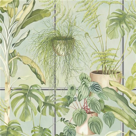 The Green House BMTD001-13B The Green House BMTD001-13B