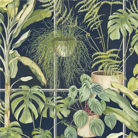 The Green House BMTD001-13C The Green House BMTD001-13C