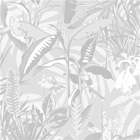 The Tropics BMTD001-14C The Tropics BMTD001-14C