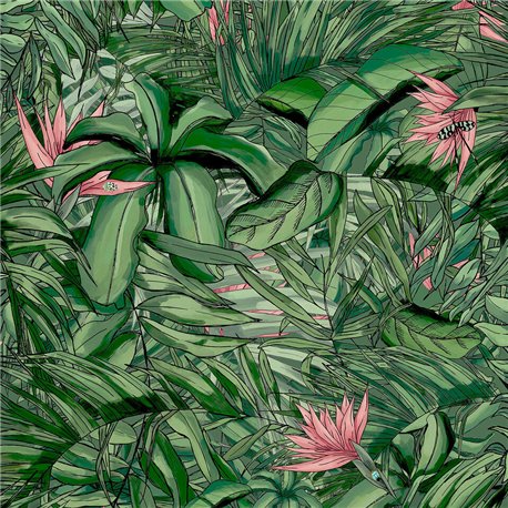 Tropical Forest BMTD001-15A Tropical Forest BMTD001-15A