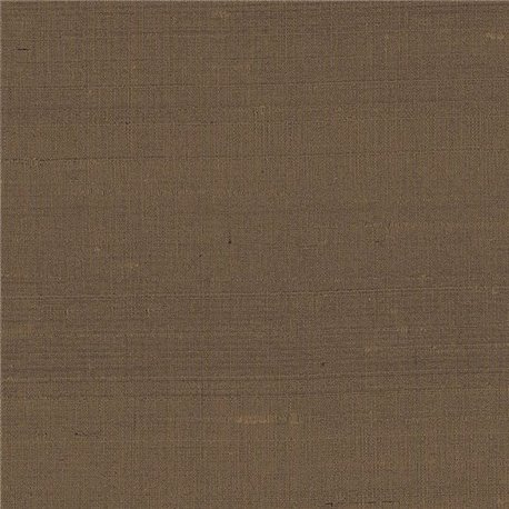 Latus Chocolate 50508A Latus Chocolate 50508A