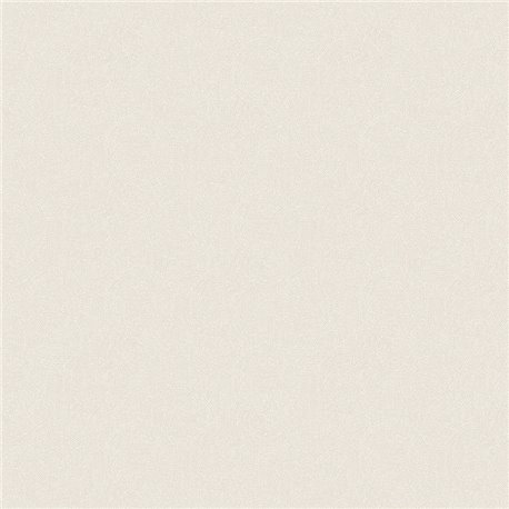 Goanna Oyster TUL504 Goanna Oyster TUL504