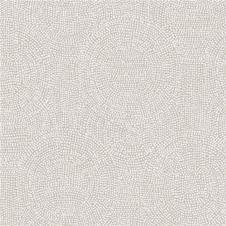 Goanna Silver TUL506 Goanna Silver TUL506