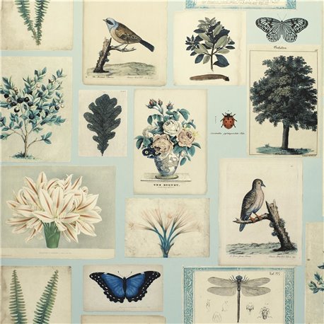 Flora and Fauna Cloud Blue PJD6001-02 Flora and Fauna Cloud Blue PJD6001-02