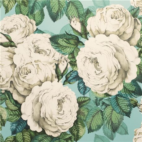The Rose Swedish Blue PJD6002-03 The Rose Swedish Blue PJD6002-03