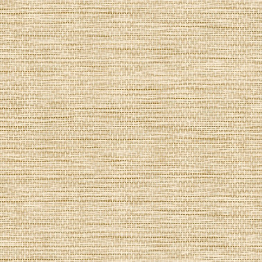 Le Papier Tisse Honey 60501A