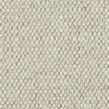 Nelson Papyrus 91553B Nelson Papyrus 91553B