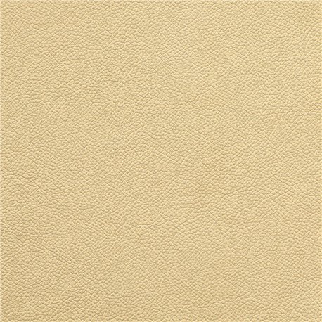 VINCI CREMA 1