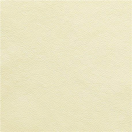 VINCI PANNA