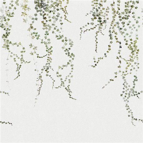 Aralia Moss Green 640-04 Aralia Moss Green 640-04