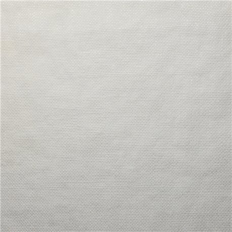 CANVAS-17 CANVAS-17