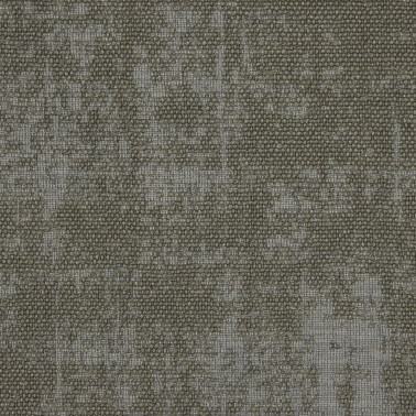 JARAPA-19