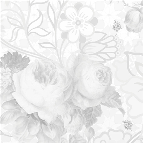 Berenice 993 Perla 21161.png Berenice 993 Perla 21161.png