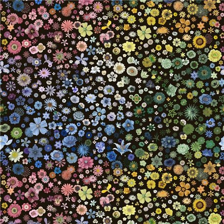 Jardin Des Hesperides Multicolore FCL7060-01 Jardin Des Hesperides Multicolore FCL7060-01