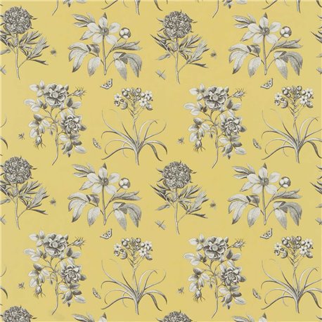 Etchings and Roses Empire Yellow DPFPET204 Etchings and Roses Empire Yellow DPFPET204