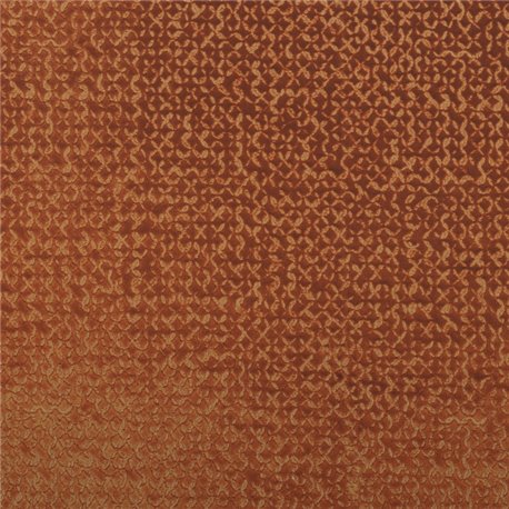 Nastie Orange Brulee 49960751 Nastie Orange Brulee 49960751