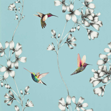 Amazilia Sky HAMA111060