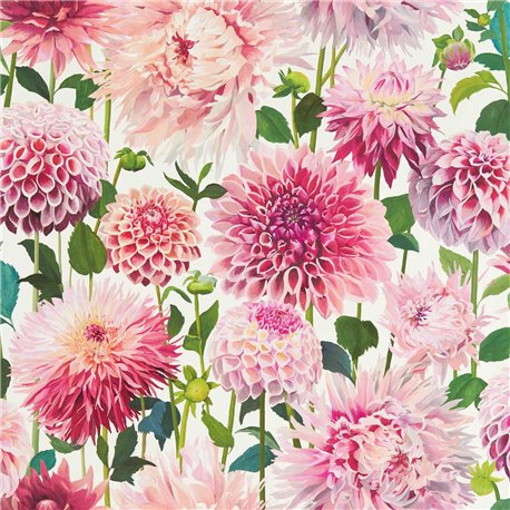 Dahlia Blossom Emerald New Beginnings HQN2112843 Dahlia Blossom Emerald New Beginnings HQN2112843