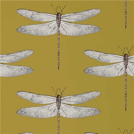 Demoiselle Ochre Grape HGAT111244 Demoiselle Ochre Grape HGAT111244