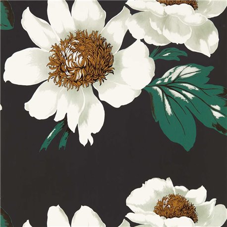 Paeonia Black Earth Fig Leaf Gold HQN2112841 Paeonia Black Earth Fig Leaf Gold HQN2112841