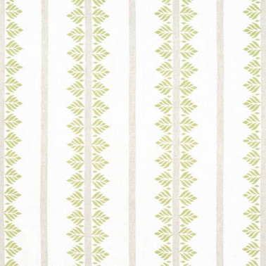 Fern Stripe Green AF15102