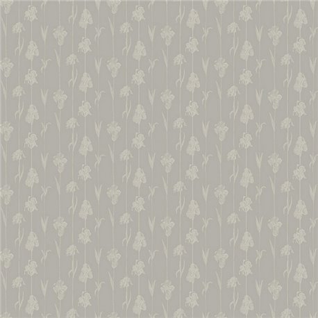 Corola IT4405-2 Corola IT4405-2