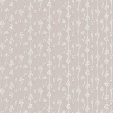 Corola IT4405-5 Corola IT4405-5