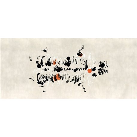 M4316-3_Fodere M4316-3_Fodere